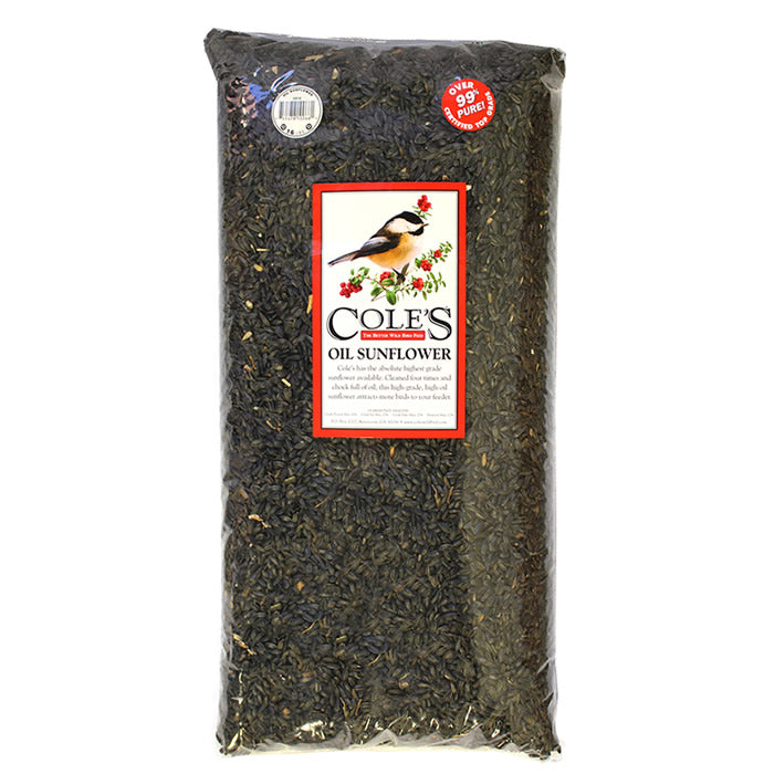 Premium Black Oil Sunflower Seeds for Wild Birds - 16lb or 32lb Bulk Bags - High Energy Bird Food for Year-Round Feeding - Attracts Cardinals, Finches & Woodpeckers - Perfect for Backyard Feeders & Wildlife Habitats