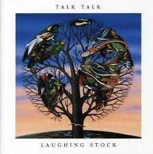 Laughing Stock - Premium Quality Stock Photos for Social Media, Advertising & Blogging | Perfect for Memes, Marketing & Creative Projects