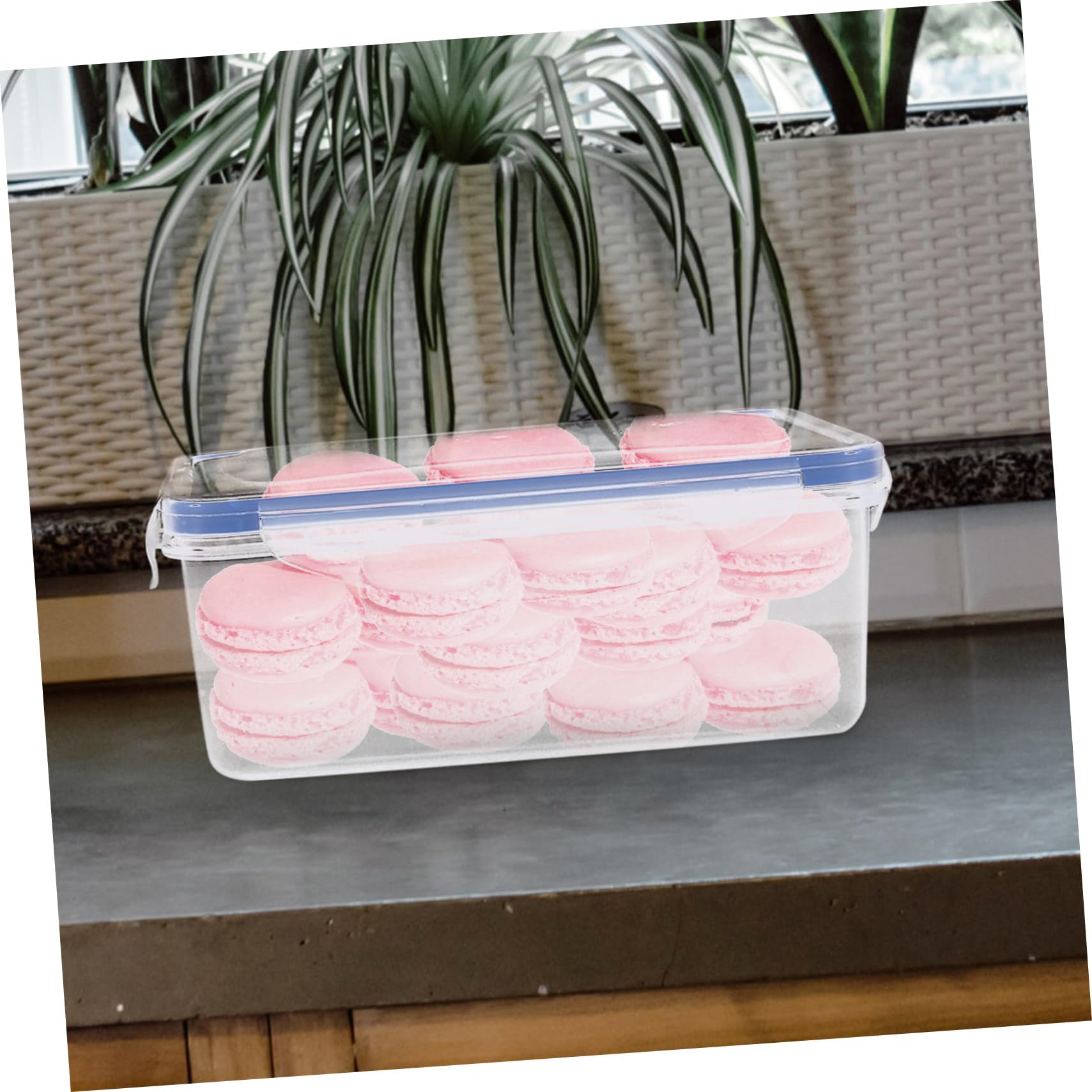 VOSAREA 4-Piece Airtight Food Storage Containers for Sandwiches | BPA-Free PP Plastic & Silicone | Microwave & Dishwasher Safe | Compact Lunch Box for Kids, Adults | Perfect for School, Work, Picnics & Travel