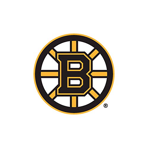 Boston Bruins