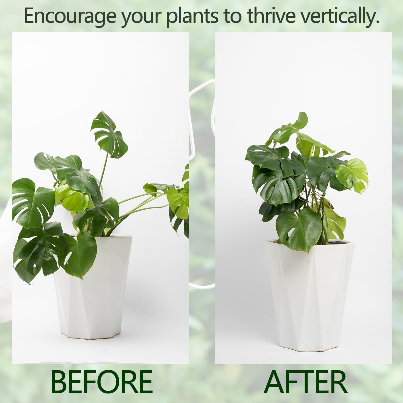 Monstera Plant Support Stakes - 5-Piece Durable Indoor Plant Support System for Monstera Deliciosa & Philodendron - Premium Leaf Clamps for Healthy Growth - Perfect for Home Gardening & Office Plants
