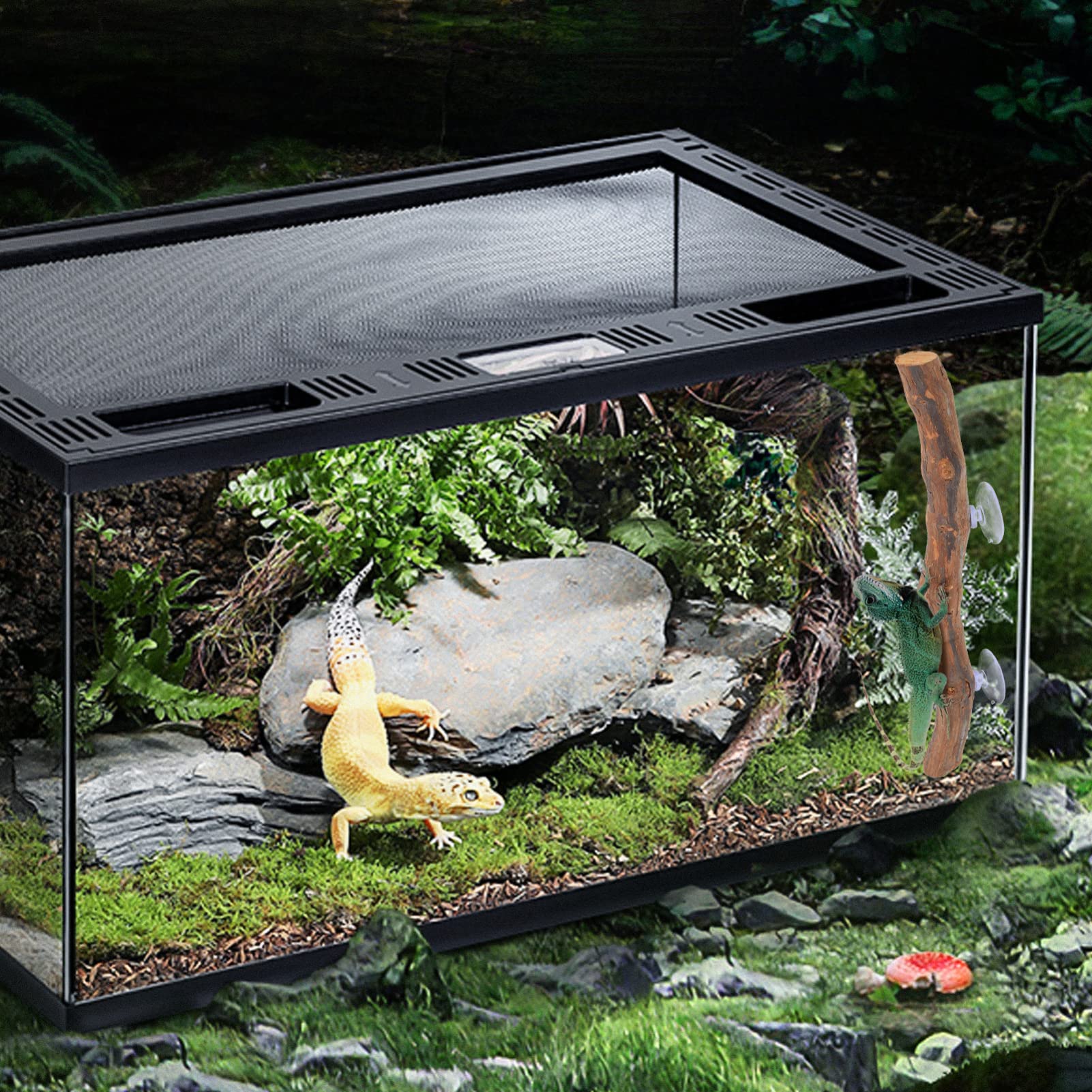 Premium Reptile Climbing Branch - Natural Terrarium Decor with Suction Cups for Lizards, Snakes & Geckos | Perfect for Habitat Enrichment & Vertical Climbing Space in Reptile Tanks
