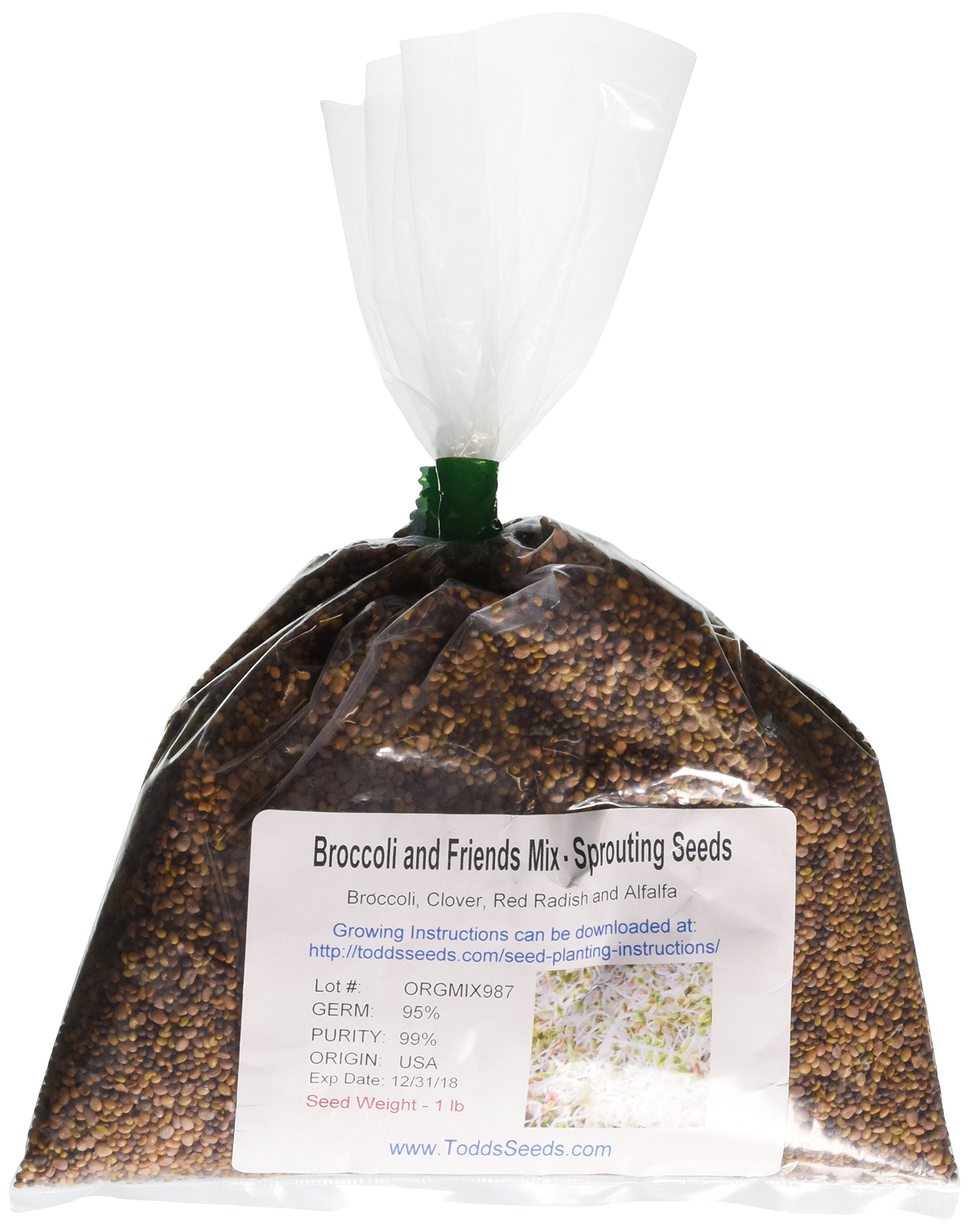 Organic Broccoli Sprouting Seed Mix with Kale & Radish - 1 lb Non-GMO, High Germination Rate for Home Gardening, Juicing & Healthy Salads | Todd's Seeds®