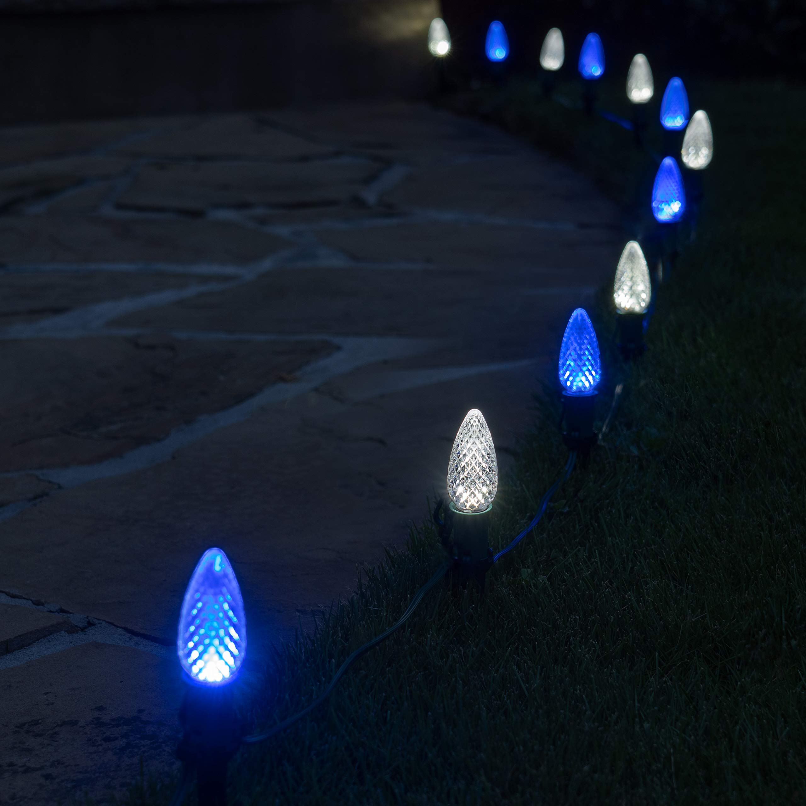 Wintergreen Lighting 50ft OptiCore LED Blue & White C9 Outdoor Christmas Pathway Lights - 4.5ft Stakes, Green Wire Plug String Lights - Perfect for Holiday Decor, Garden, Patio & Walkway Lighting