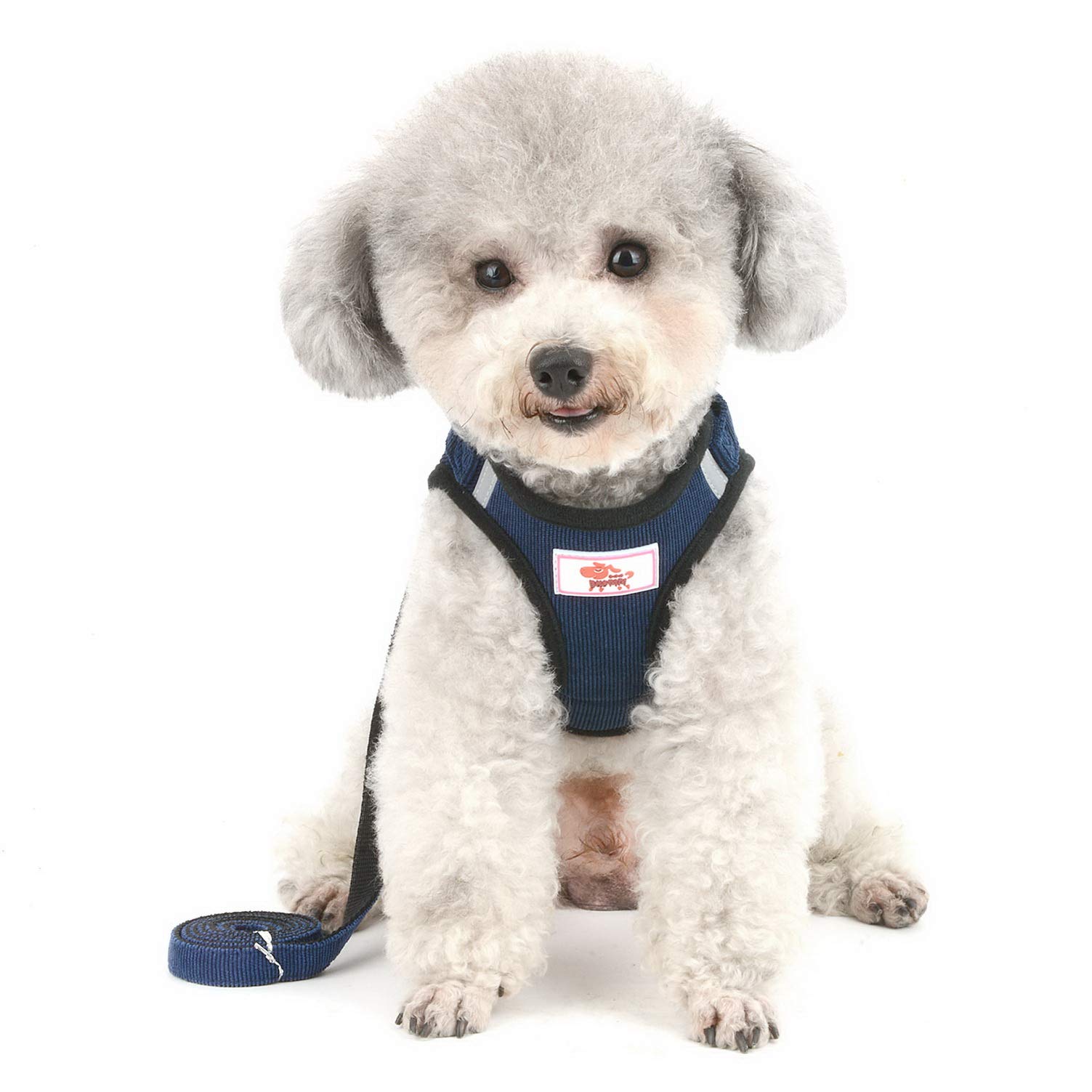 Escape-Proof Reflective Corduroy Cat Harness with Leash - Soft Mesh Padded, Adjustable No-Pull Design for Safe Walking - Blue XL - Perfect for Nighttime Adventures, Outdoor Exploration & Pet Safety