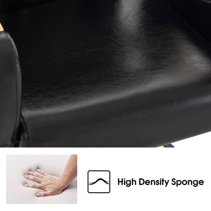Gabriel Barber Chair - Professional Adjustable Salon Styling Chair for Hairdressers & Barbers - Perfect for Home & Salon Use