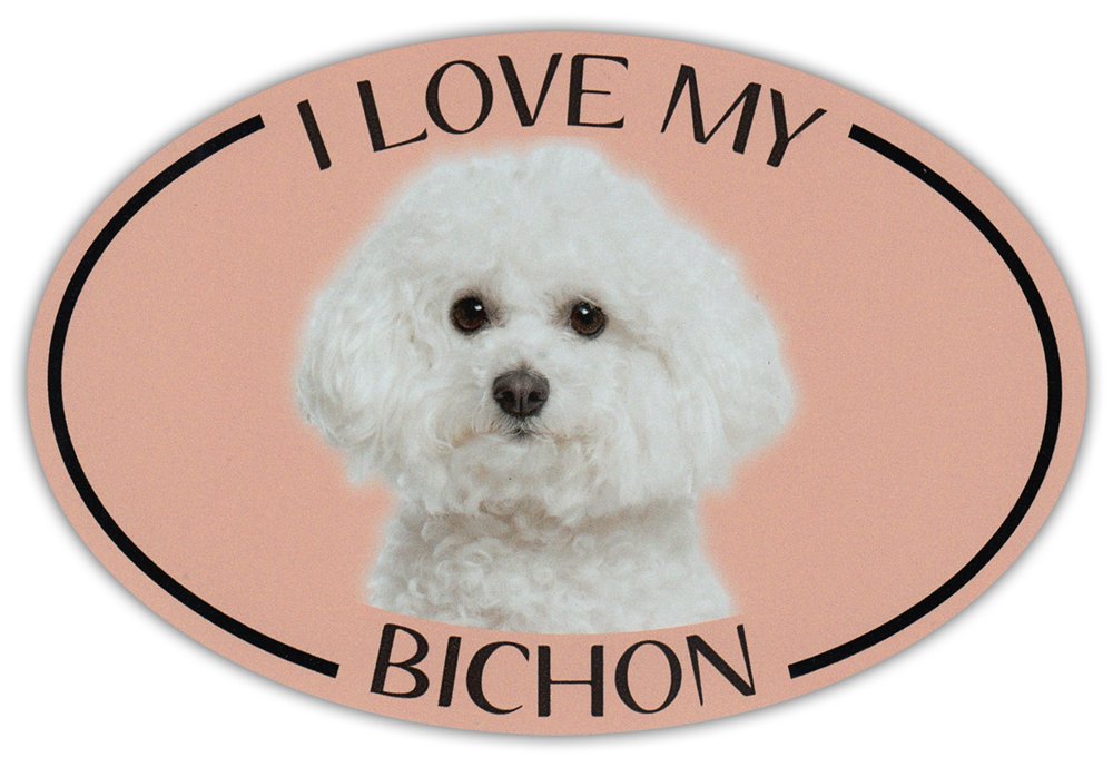 Bichon Frise Oval Car Magnet - I Love My Dog for Bumper Stickers