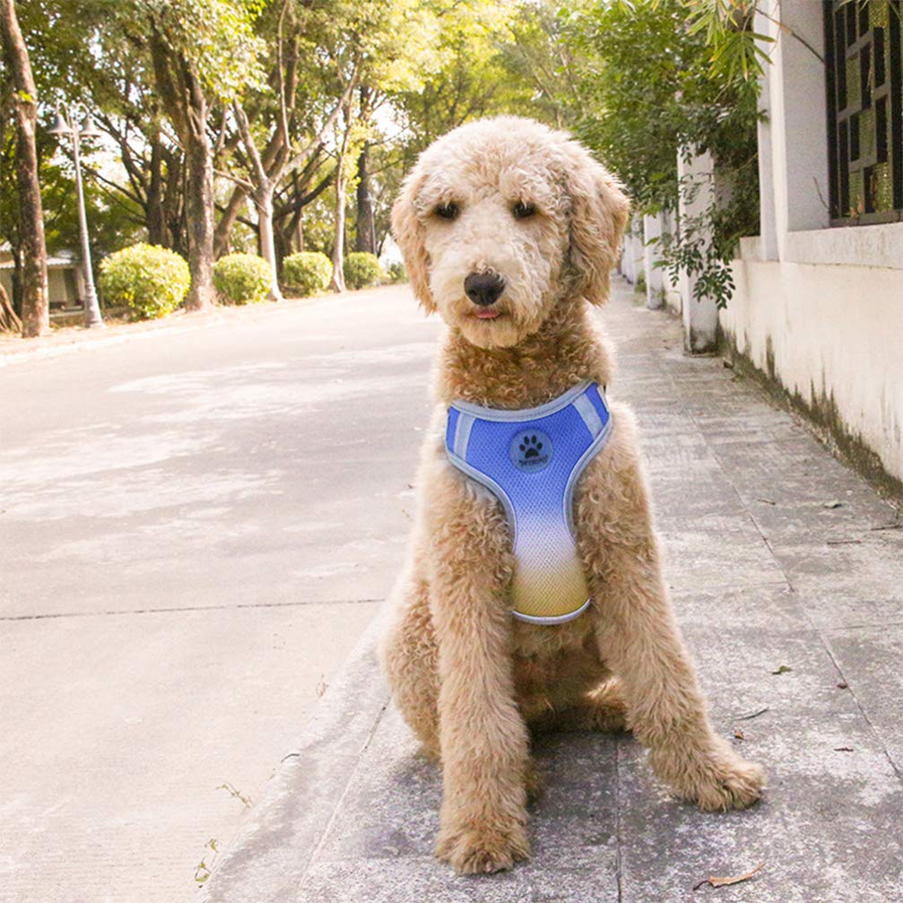 **POPETPOP Small Reflective Dog Harness - Adjustable & Comfortable Pet Vest for Running, Walking & Cooling - Perfect for Outdoor Adventures & Nighttime Safety**