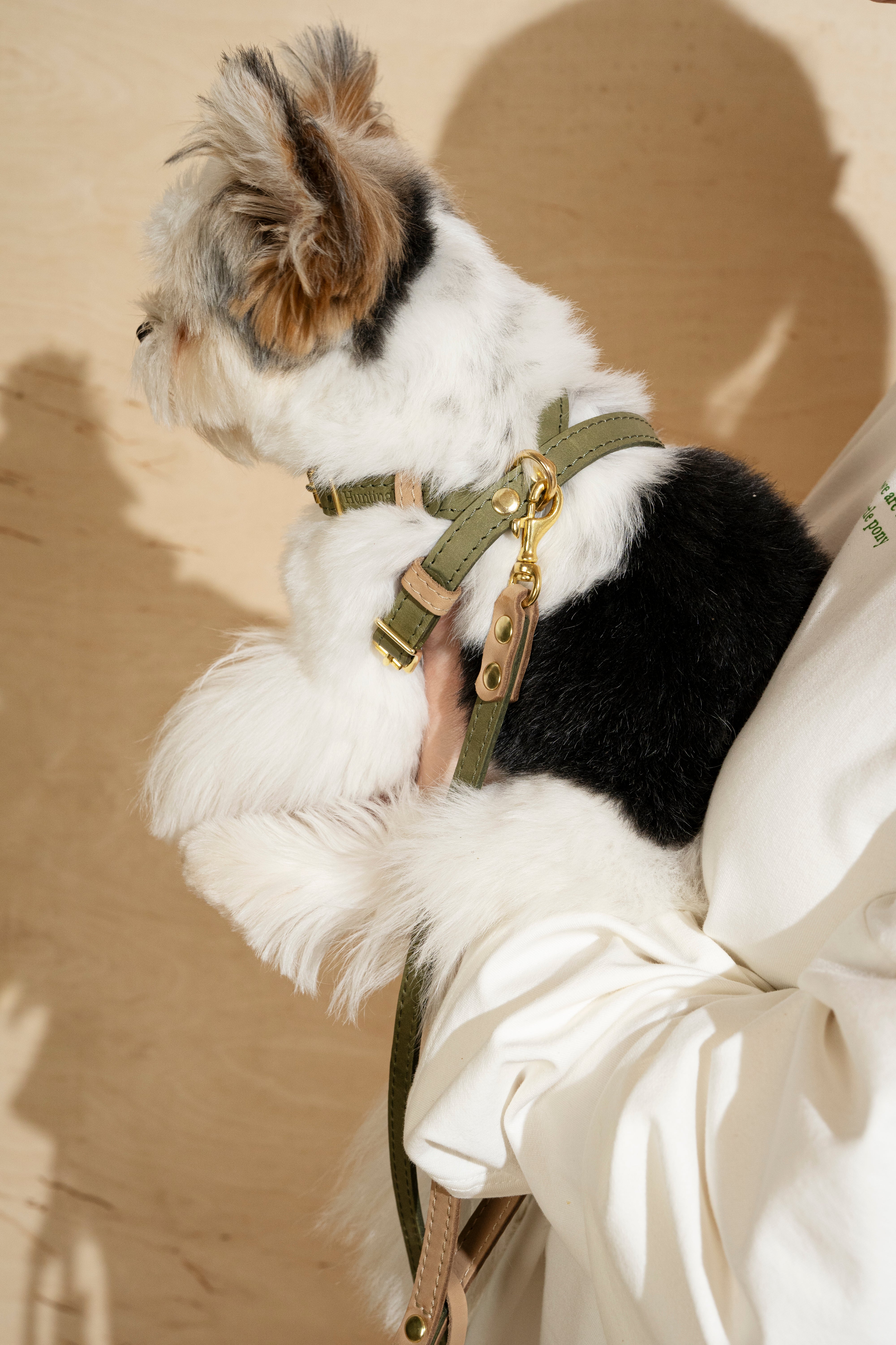 Walk Kit for Dogs - Walkony Leash & Harness Set in Green & Beige | Comfortable & Durable for Walking, Hiking & Outdoor Adventures