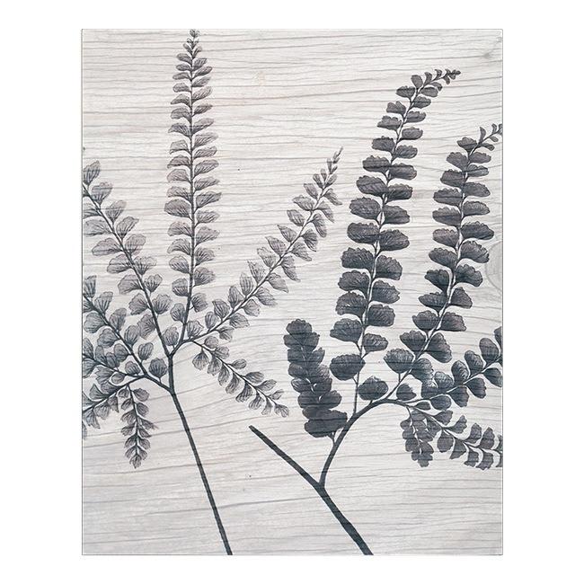 0335 (A+D) Indian Ferns Black on White Wall Art Print - 16x20 Inches - Botanical Decor for Living Room, Bedroom & Office