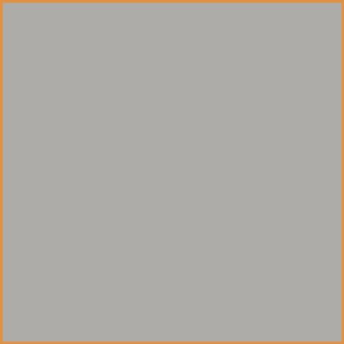 010 Warm Gray