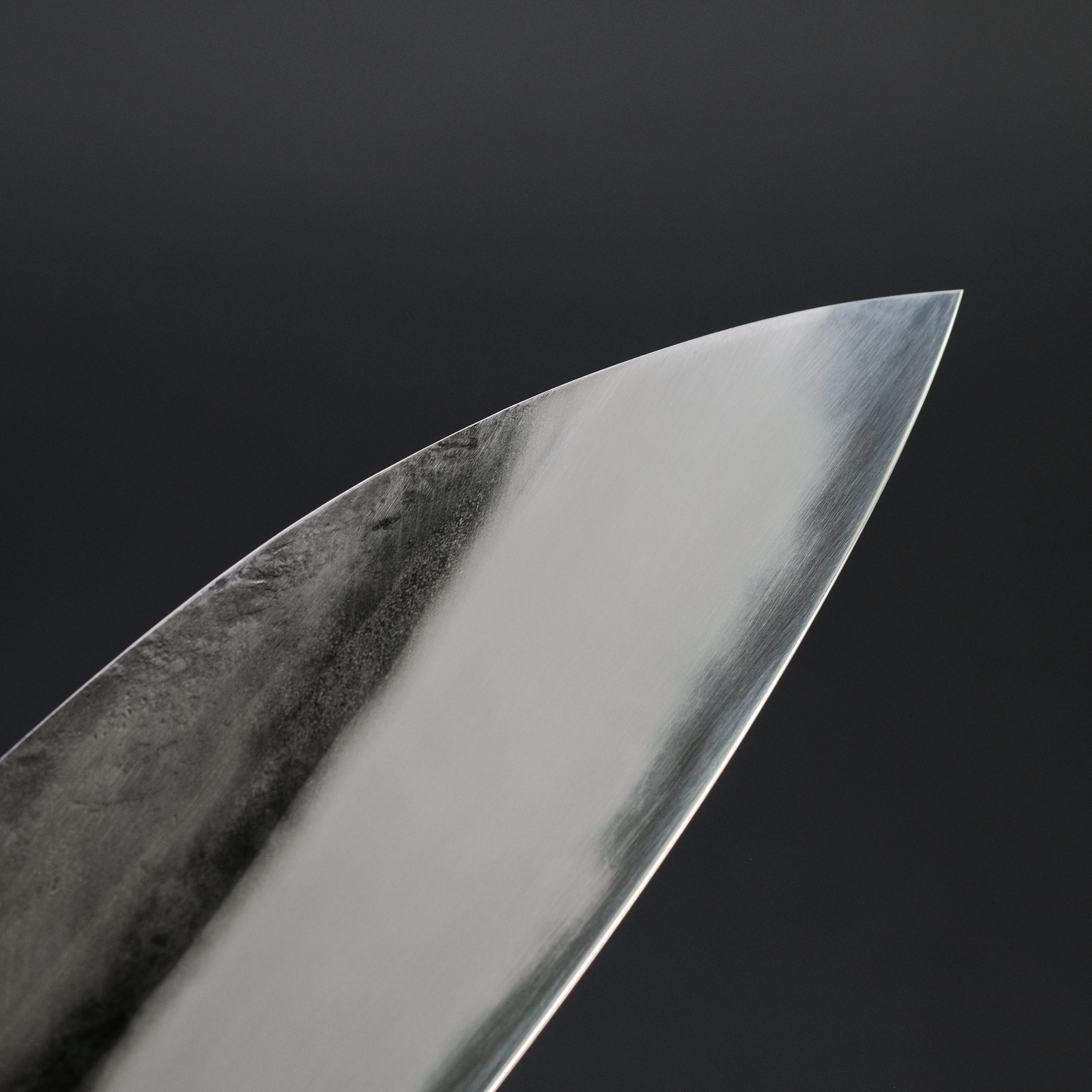 Premium Jiro Tsuchime Wa Gyuto 255mm Japanese Chef Knife with Taihei Tagayasan Handle - Perfect for Sushi, Meat Cutting & Professional Kitchen Use