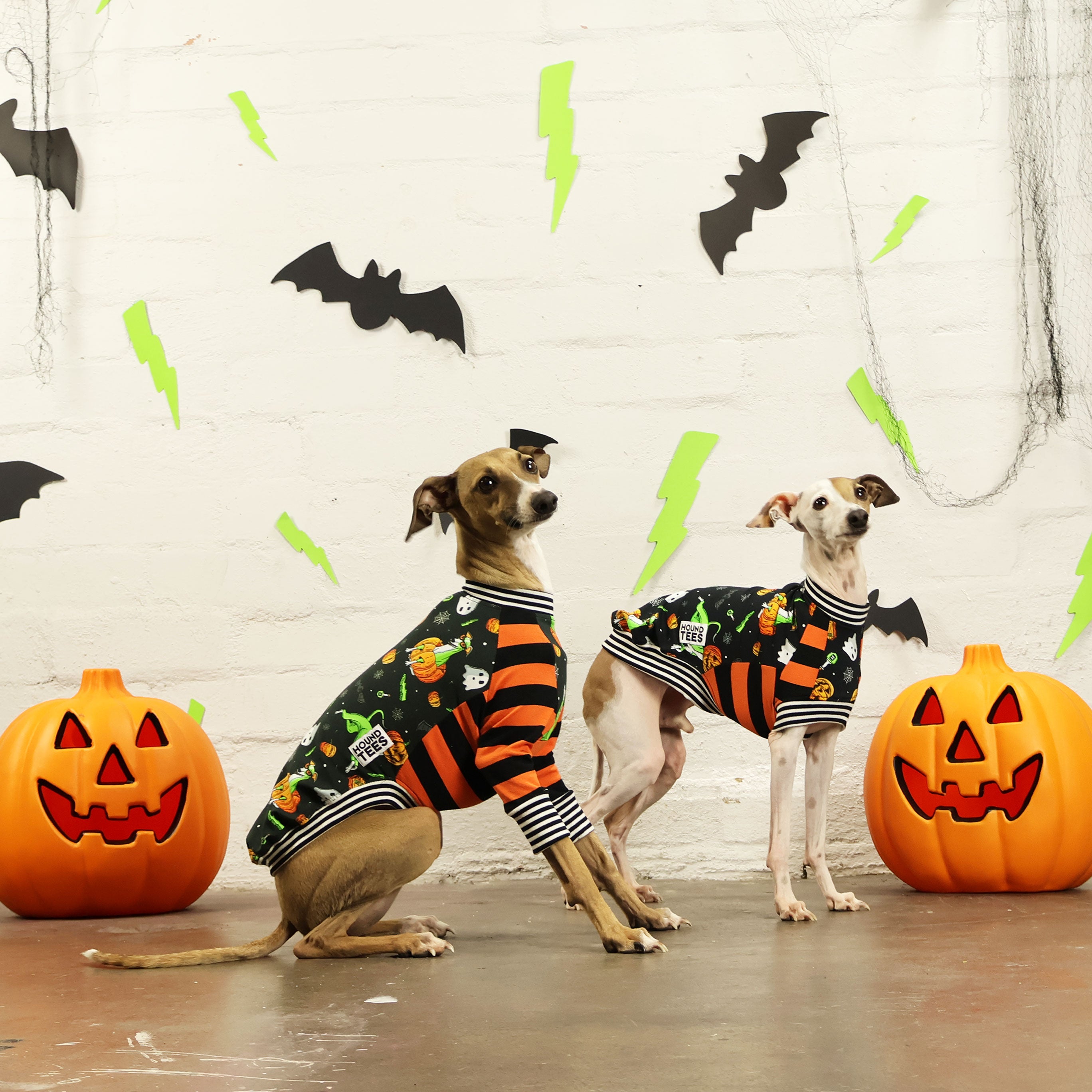 Pumpkin Head Italian Greyhound Long Sleeve T-Shirt - Cute Dog Lover Apparel for Fall & Halloween Outfits