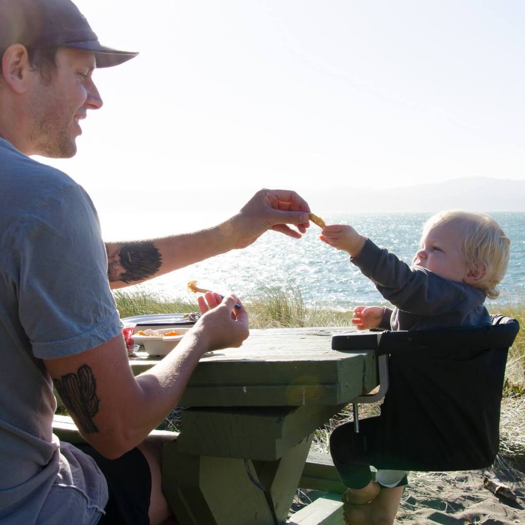 Mountain Buggy Pod Clip-On High Chair for Babies & Toddlers - Portable Travel Highchair for Dining, Restaurants, and Outdoor Adventures