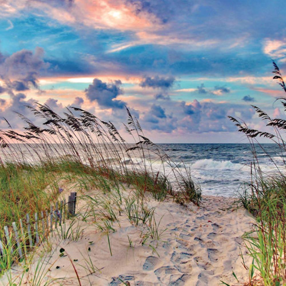 High Tide Puzzle - 1000 Piece Ocean Wave Jigsaw Puzzle for Adults, Teens & Families - Perfect for Relaxation, Stress Relief & Home Decor