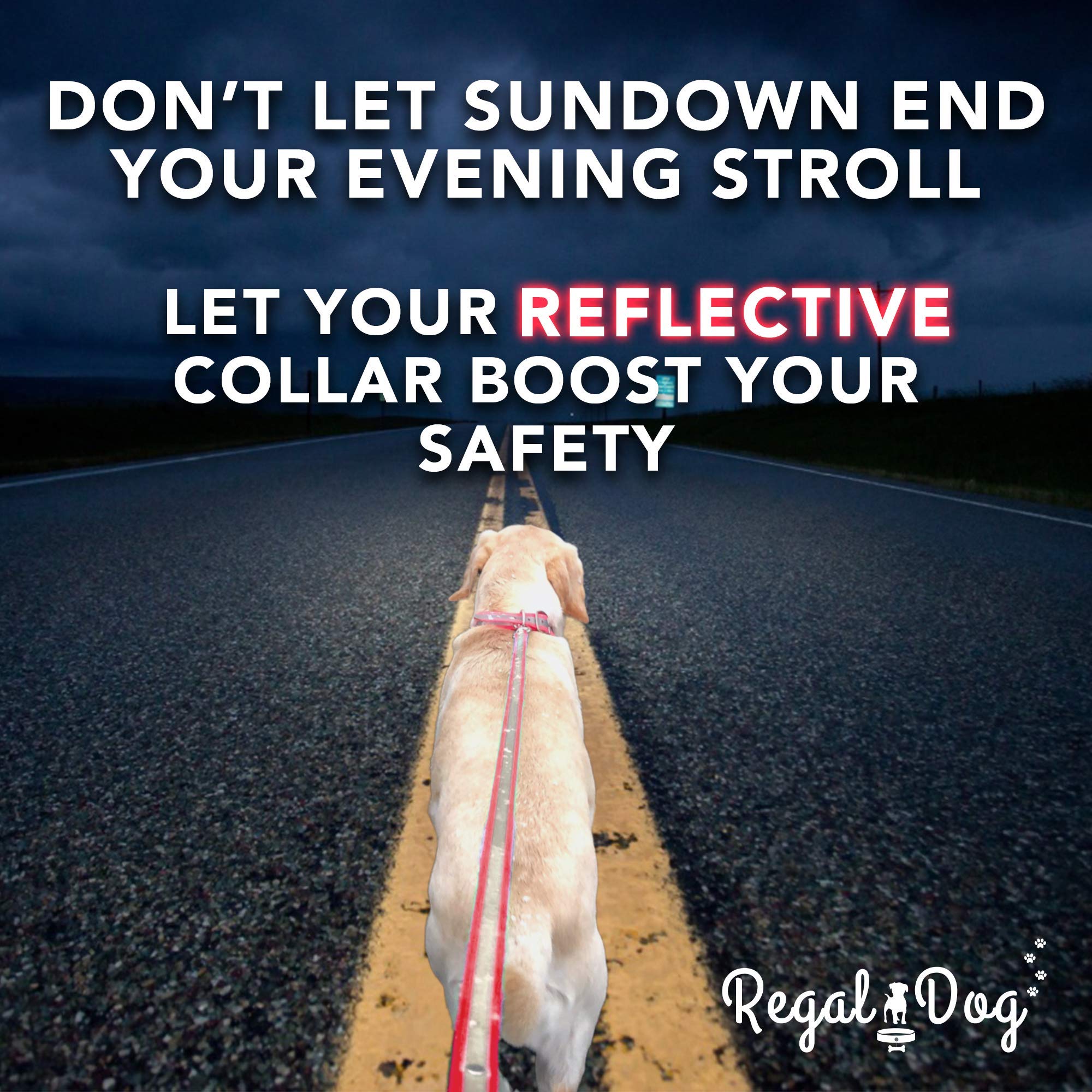 Regal Heavy Duty Reflective Dog Collar - Adjustable Chew Proof & Waterproof Collar with Metal Buckle & D-Ring for Small Medium Large Dogs | Perfect for Night Walks, Training & Outdoor Adventures