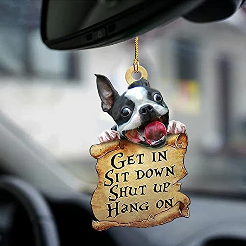 Boston Terrier