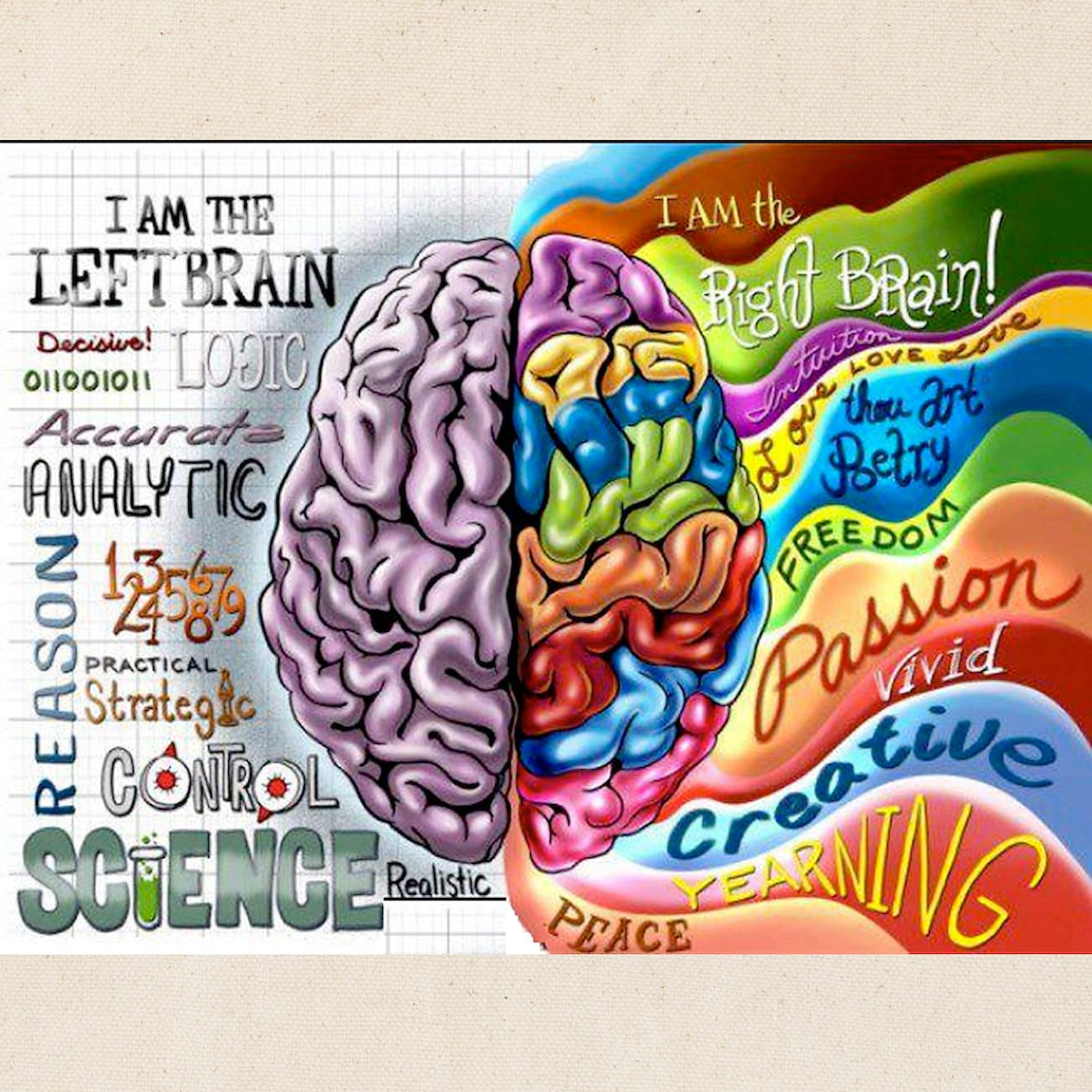 Left Brain Right Brain Tote Bag - Natural Canvas Reusable Shopping Bag for Work, School & Grocery - Funny Gift for Science Lovers & Students