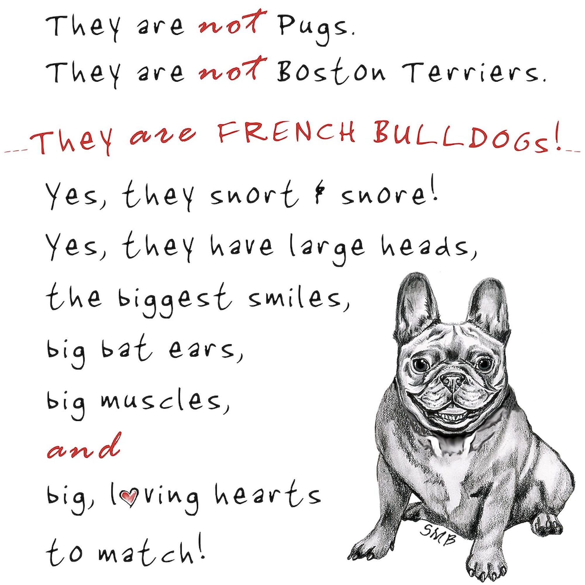 THEY Are Not Pugs (Smiling Frenchie) Natural Canvas Tote Bag - Reusable Eco-Friendly Shopping Bag for Groceries, Beach & Daily Use