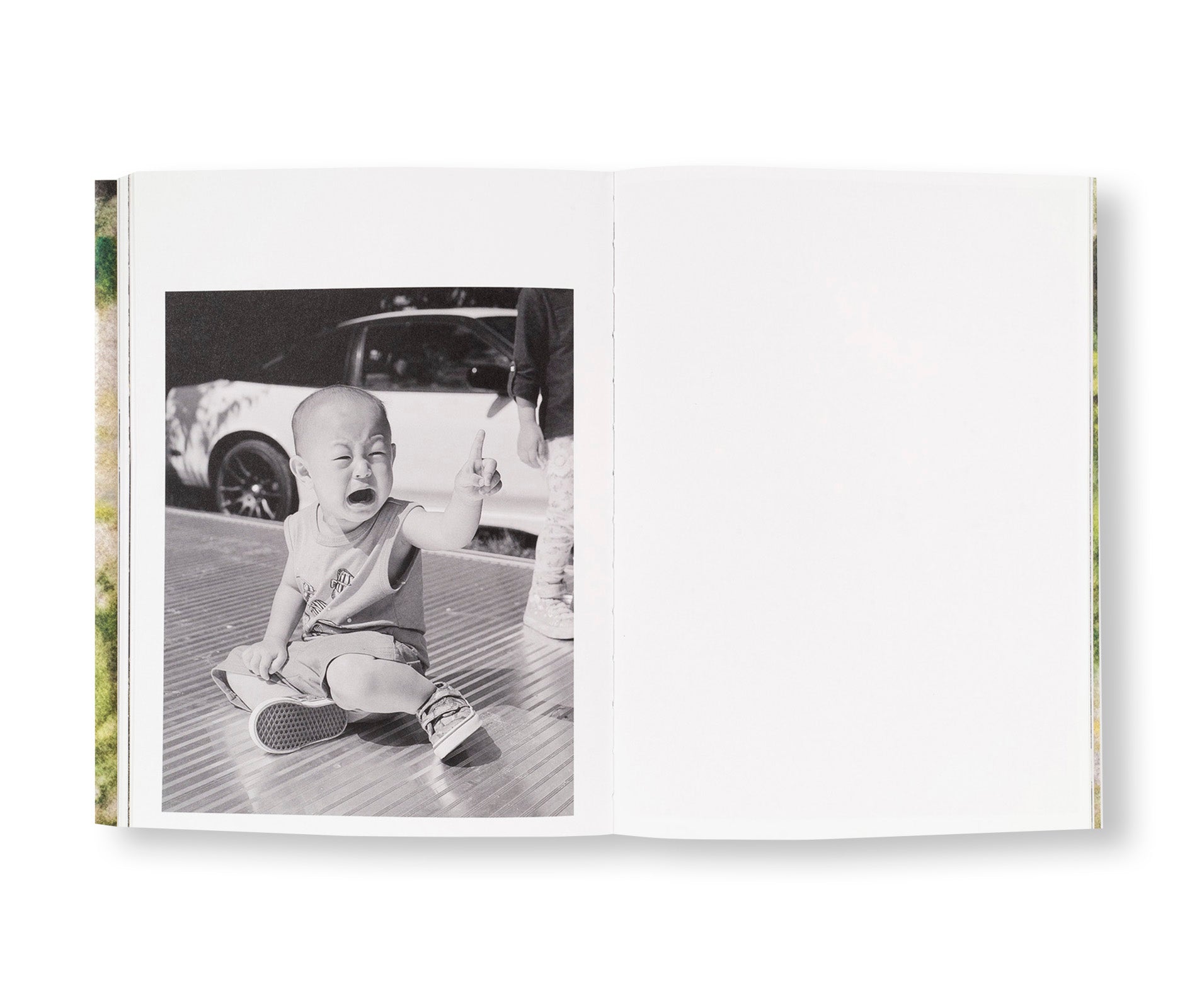 MY GRANDFATHER TURNED INTO A TIGER … AND OTHER ILLUSIONS by Pao Houa Her - Photography Book Exploring Hmong Identity & Cultural Myths - Perfect for Art Collectors & Asian American Studies