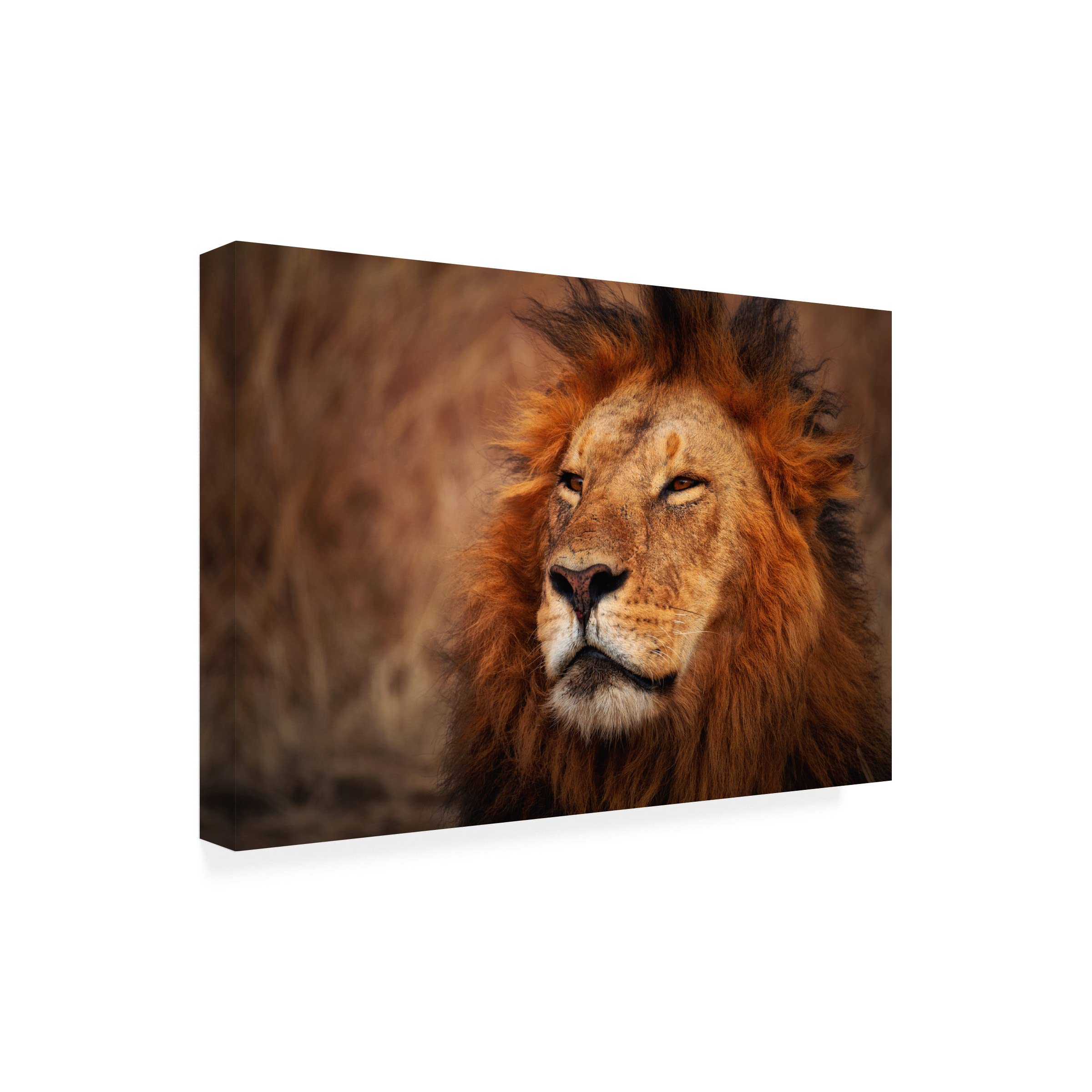 Trademark Fine Art 'Maridadi' Canvas Wall Art by Mohammed Alnaser - African Inspired Home Decor for Living Room & Bedroom