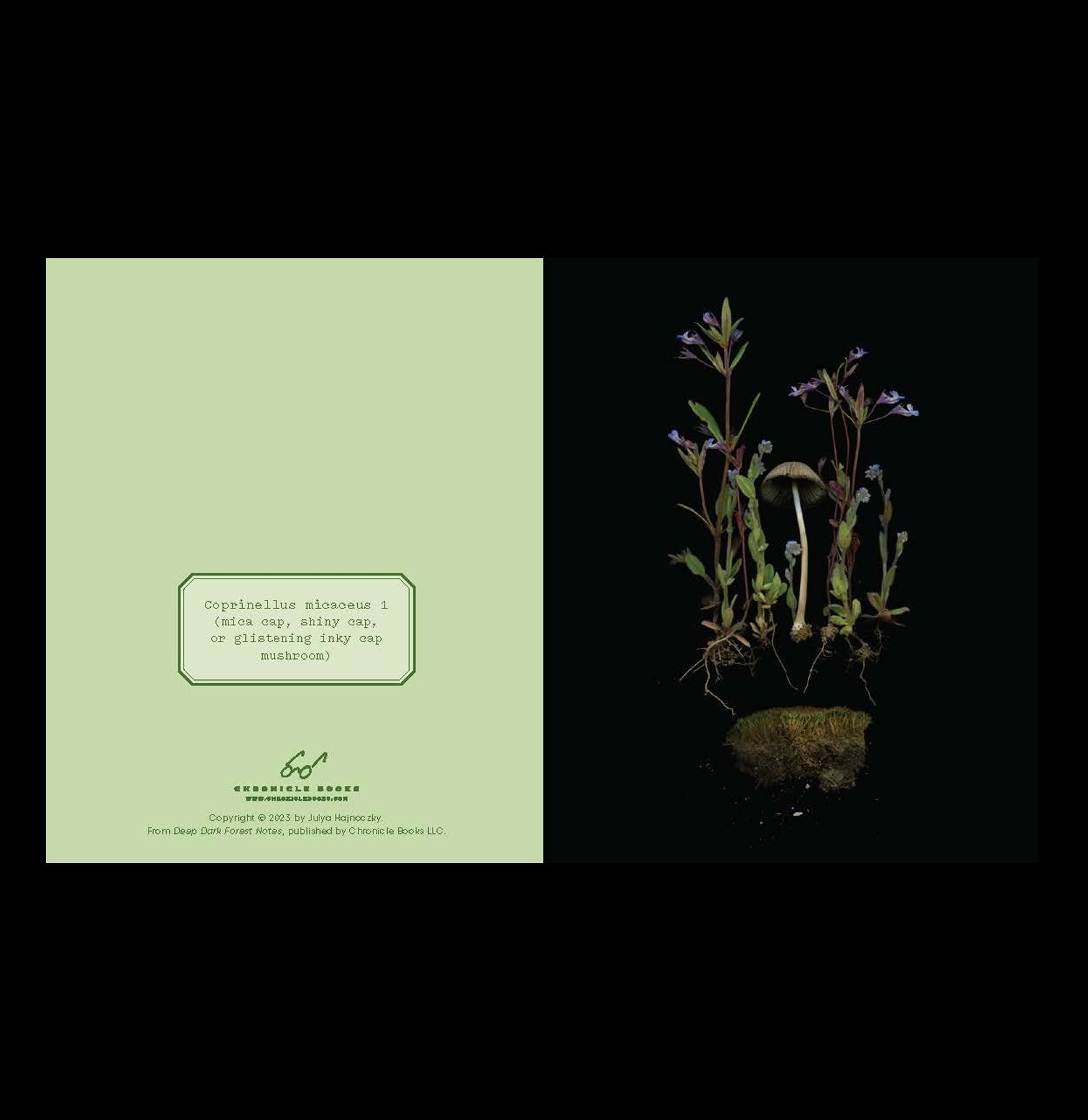 Deep Dark Forest Mushroom Notecards - Handmade Botanical Greeting Cards for Nature Lovers | Perfect for Thank You Notes, Birthday Cards & Wedding Invitations