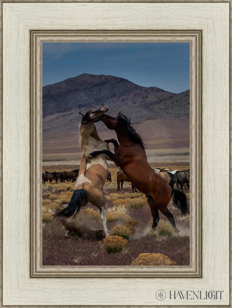 Desert Duel 1 by Greg Sargent - Western Adventure Novel for Adults | Perfect for Book Clubs, Gifts & Western Fiction Fans