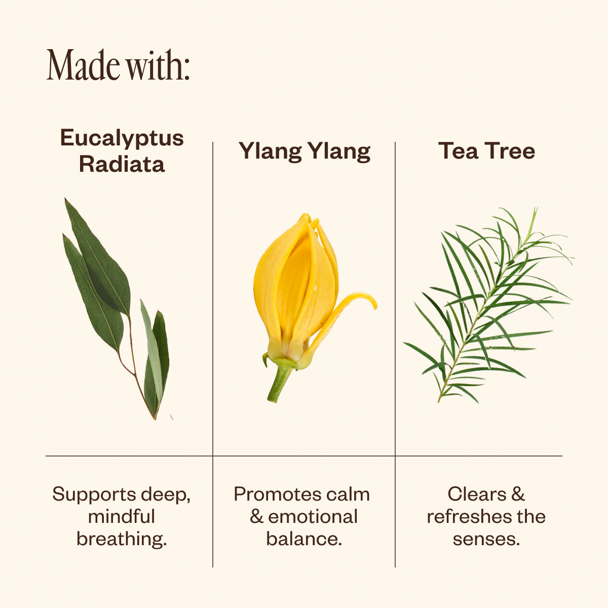 Tidal Bath Purifying Diffuser Blend - Essential Oil Aromatherapy for Relaxation & Stress Relief - Perfect for Bath, Spa & Home Wellness