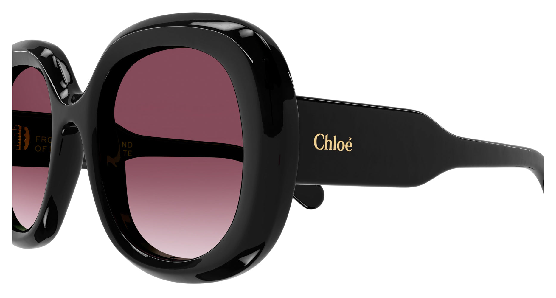 Chloe CH0153S Sunglasses for Women - UV Protection, Polarized, Fashionable & Lightweight - Perfect for Driving, Beach & Outdoor Activities