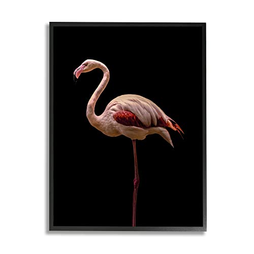 Black Framed