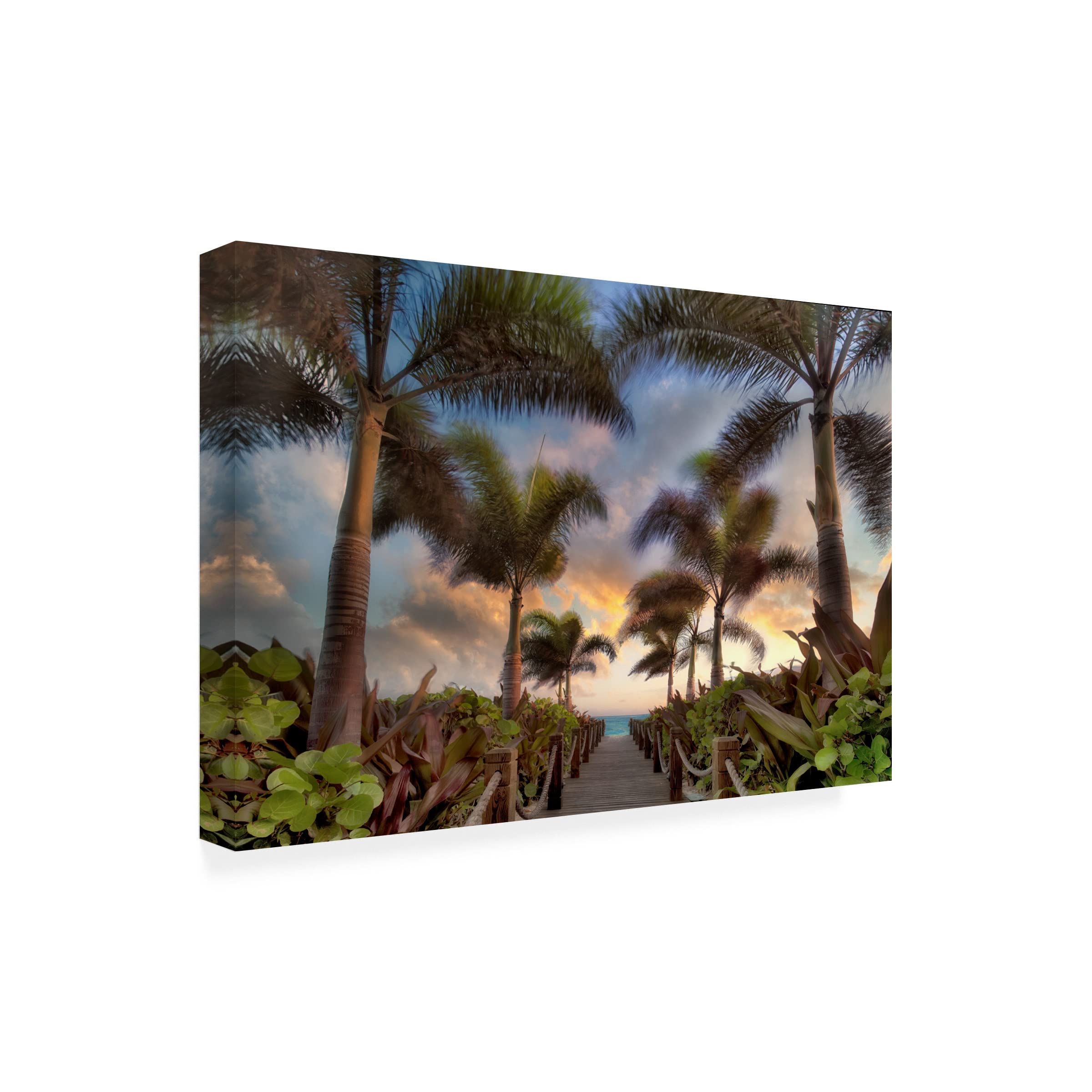 Dennis Frates 'Palms 3' Canvas Wall Art Print - Tropical Beach Landscape Painting for Living Room, Bedroom & Office Decor