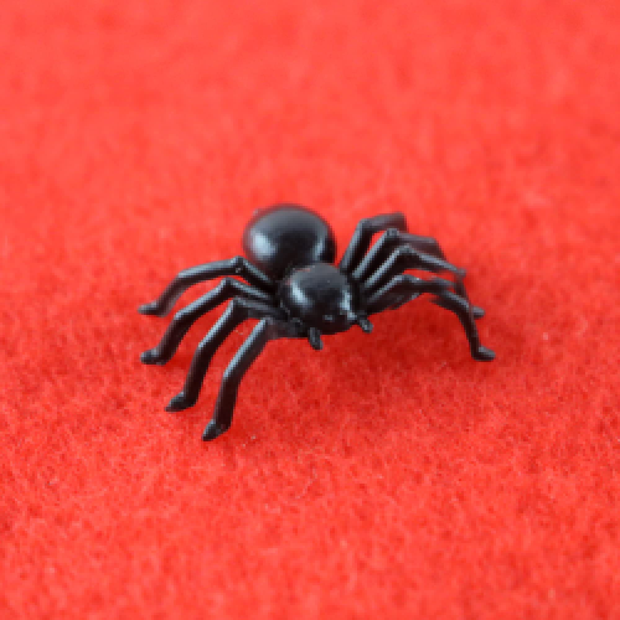MYUBWTF 120 PCS Mini Fake Plastic Spiders - Realistic Black Halloween Prank Toys, Scary Insect Props for Party Decorations & Practical Jokes - Perfect for Halloween Decor, Party Supplies, and Scare Pranks