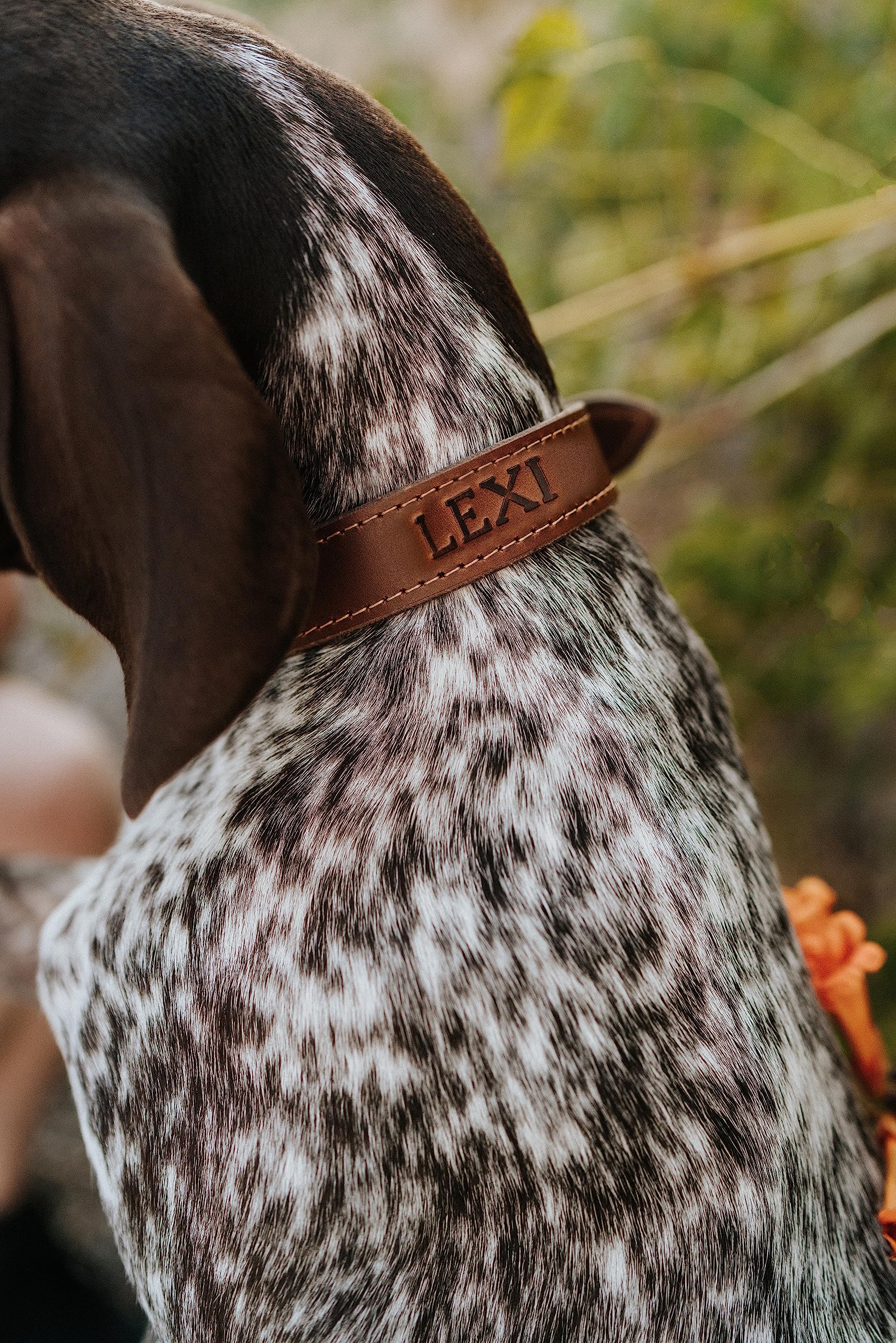 Custom Engraved Leather Dog Collar - Personalized Pet Collar with Name Tag | Adjustable Rustic Puppy & Cat Collar for Training, Walks & Special Occasions