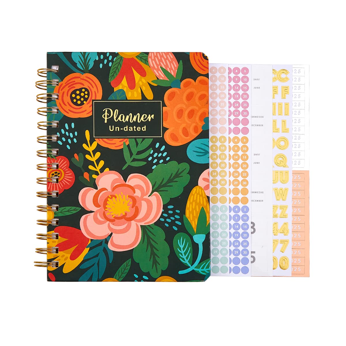 TSFPapier Undated Academic Planner 2022-2025 - 6.1