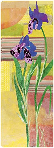 Iris II