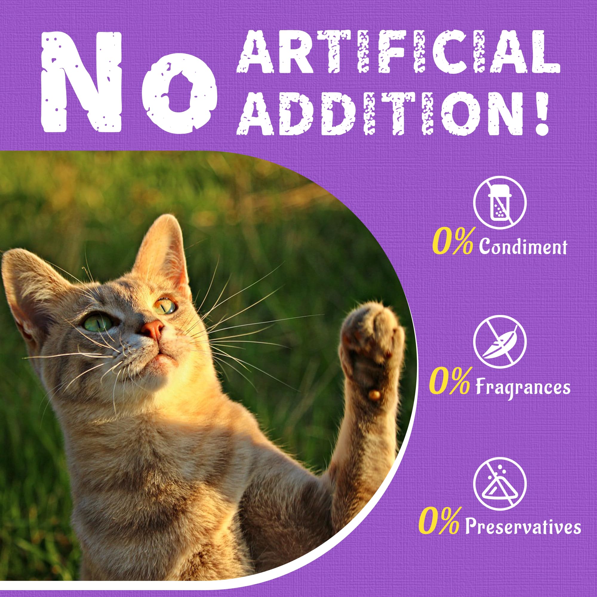 13.4 OZ Natural Salmon Flavor Lysine Cat Treats - Healthy Training Biscuits & Dental Care Snacks for Cats & Kittens - Perfect for Training Rewards and Oral Health Maintenance