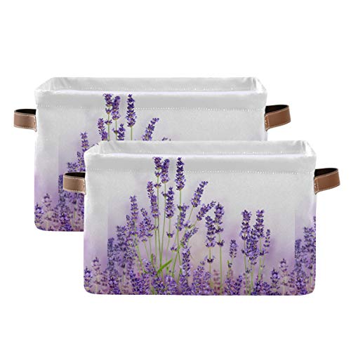 Lavender Flowers