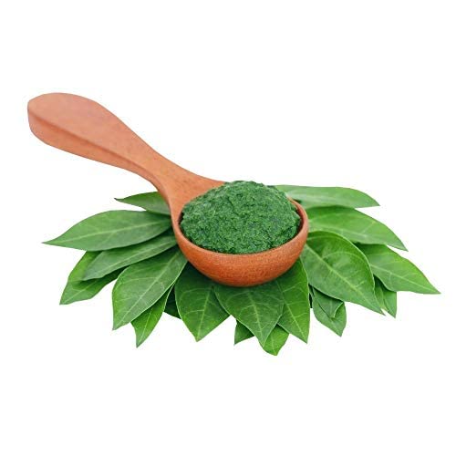Geetanjali Herbal Henna Powder for Hair Growth & Natural Hair Color - 100% Rajasthani Mehandi Leaves (Pack of 2 x 200g, Total 400g) - Safe for Hair Care, Conditioning & Bridal Mehndi Designs