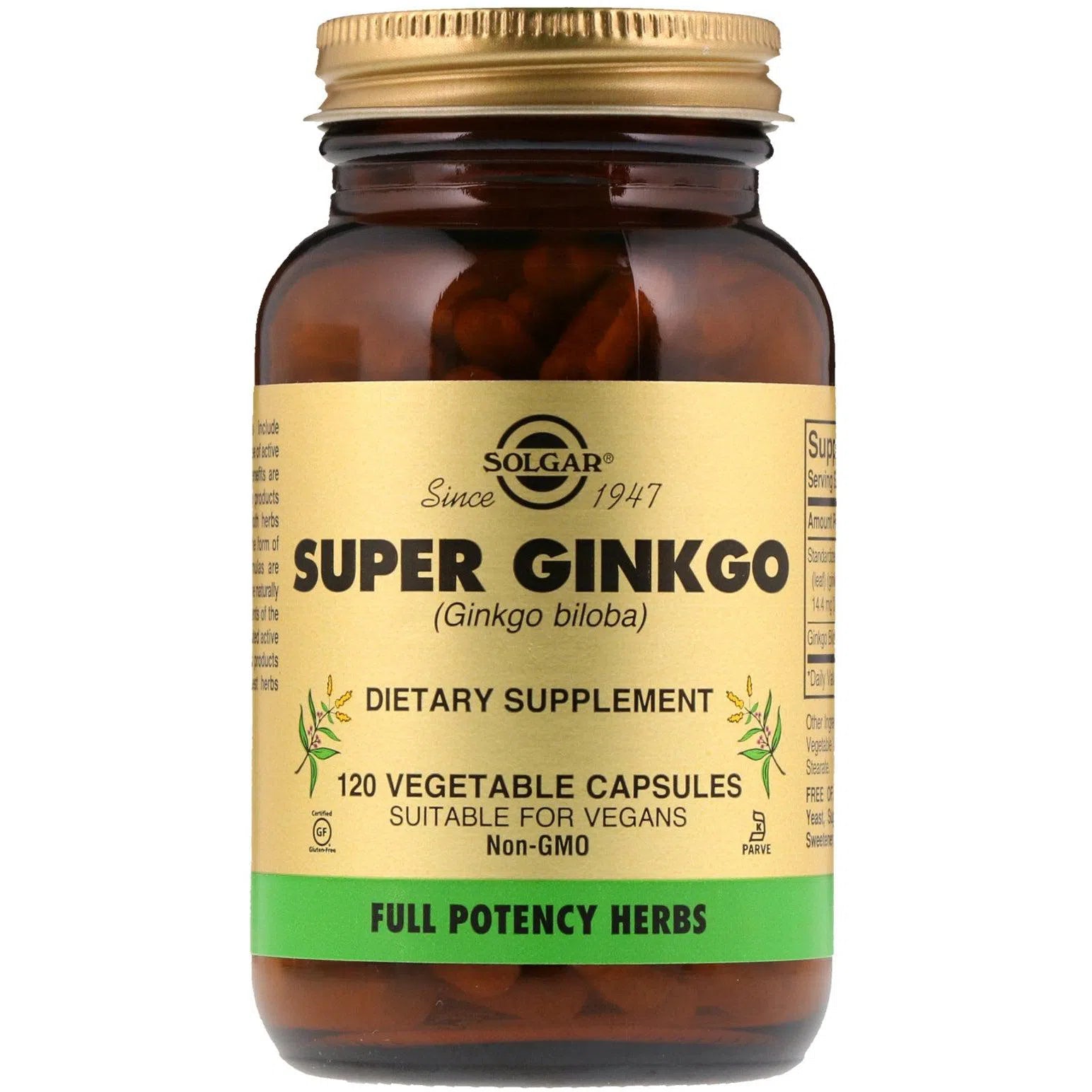 Solgar Full Potency Super Ginkgo Biloba Extract 120mg - Supports Memory, Focus & Brain Health - Ideal for Students, Professionals & Seniors