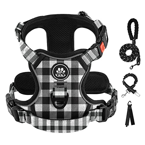 Checkered Black