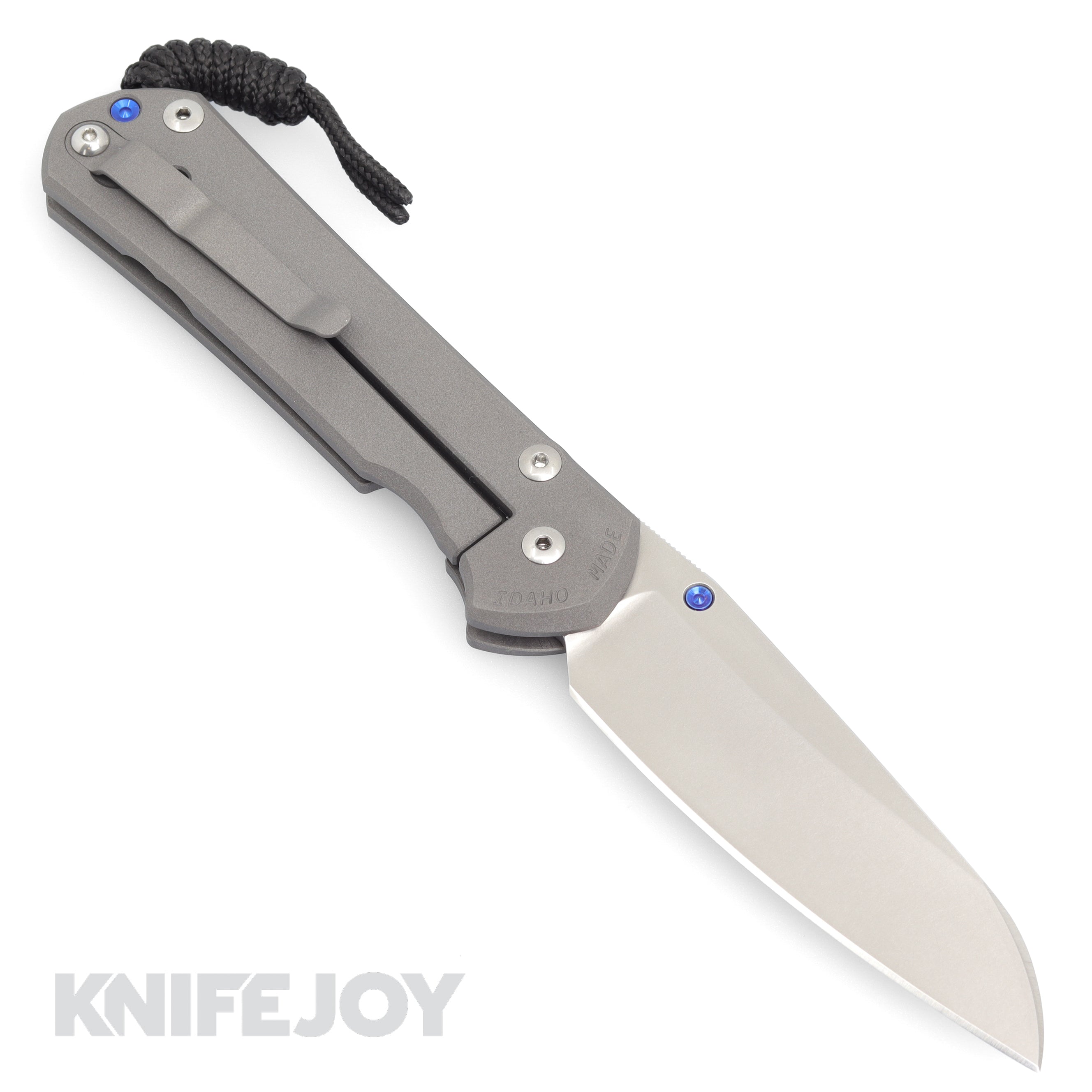 Chris Reeve Knives Large Sebenza 31 Plain Insingo Blade Titanium Folding Knife - Premium EDC Pocket Knife for Outdoor, Camping & Everyday Carry