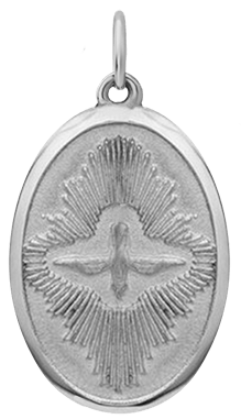 Mini Dove Pendant Necklace - Sterling Silver 925 Charm Jewelry for Women - Perfect for Everyday Wear, Gifts & Special Occasions