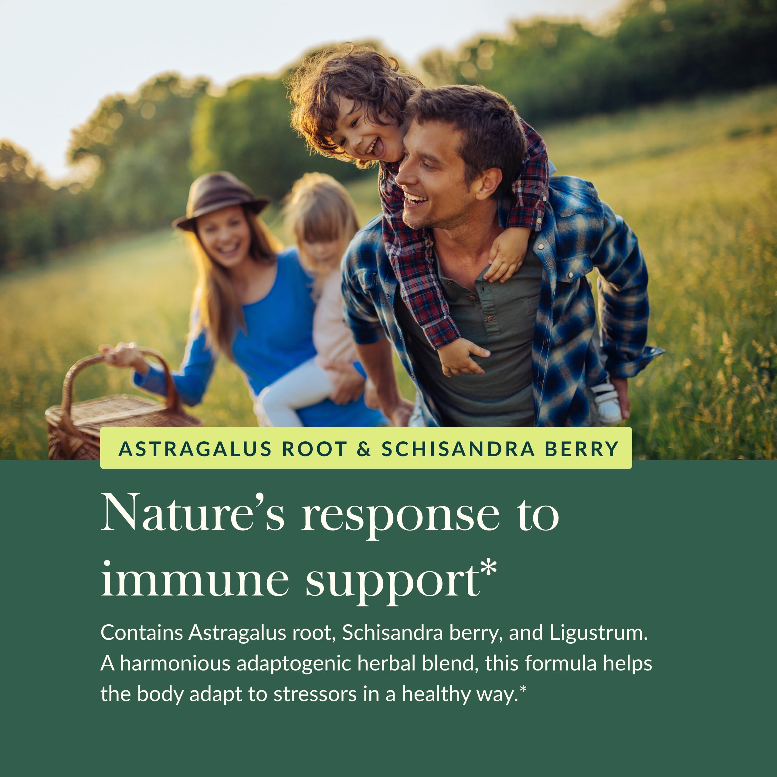 Gaia Herbs Astragalus Supreme - Immune & Antioxidant Support Supplement with Astragalus Root, Schisandra Berry, Ligustrum - 60 Vegan Liquid Phyto-Capsules (15-Day Supply) - Boost Energy & Vitality for Active Lifestyles