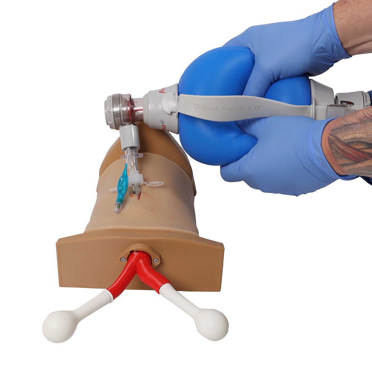 Crico Chris Cricothyrotomy Task Trainer - High-Quality Medical Simulation Model for Emergency Airway Training | Perfect for EMT, Paramedic & Medical Students Practice