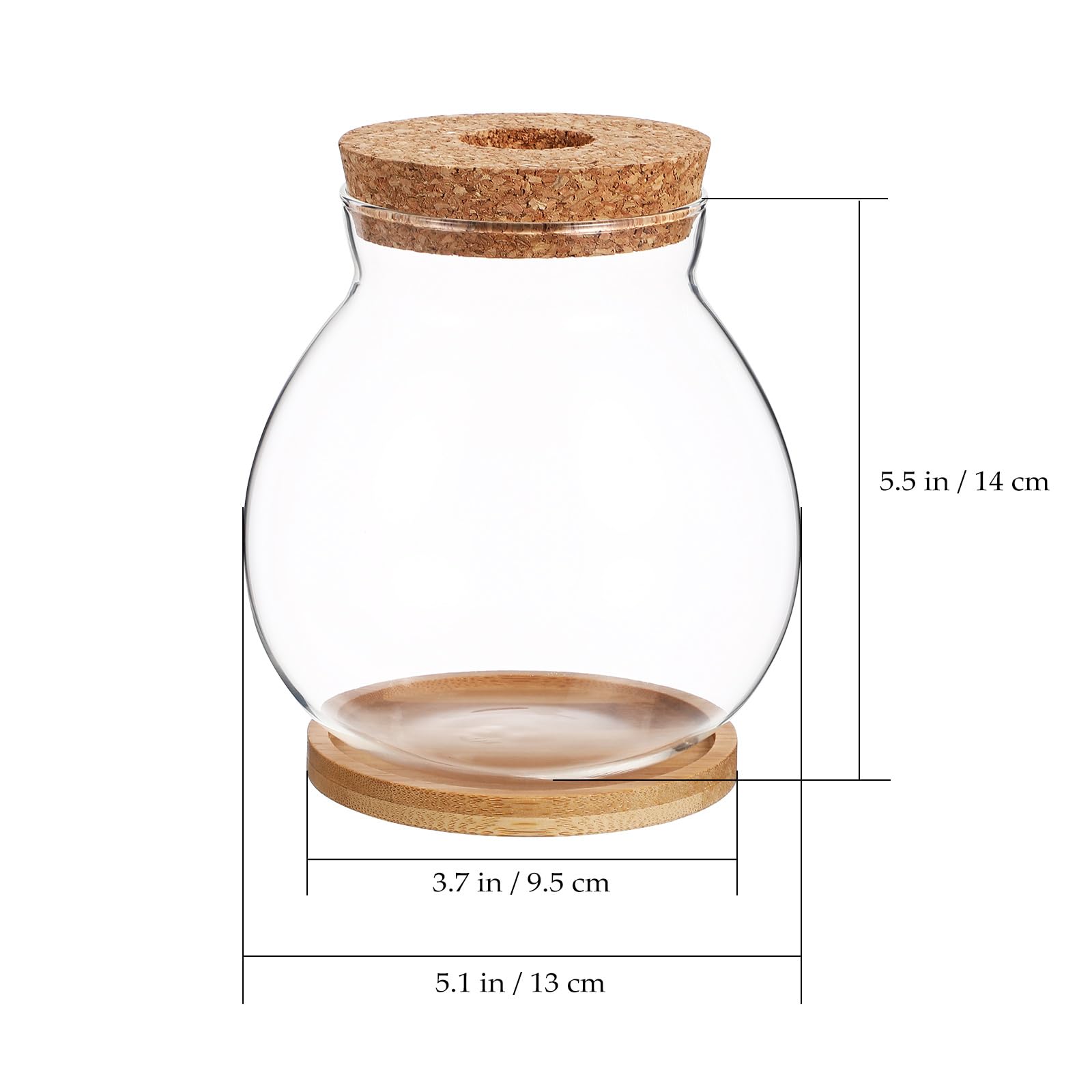 Balacoo Clear Glass Desktop Hydroponic Fish Bowl with Bamboo Cushion & Wood Lid - Small Betta Fish Tank & Plant Terrarium for Home Office Decor | Perfect for Desk Decor, Zen Gardens, and Indoor Plant Displays