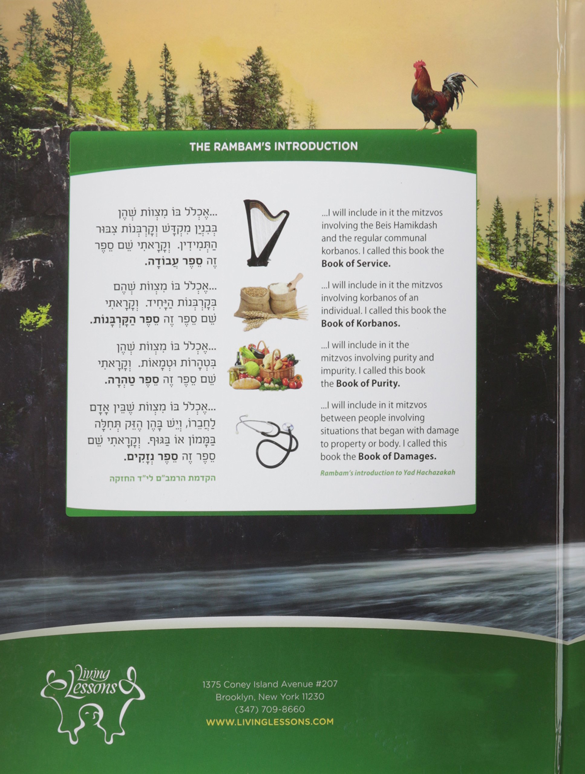 Yahadus Curriculum Book 4 - Jewish Studies Textbook for Kids | Perfect for Homeschooling & Religious Education