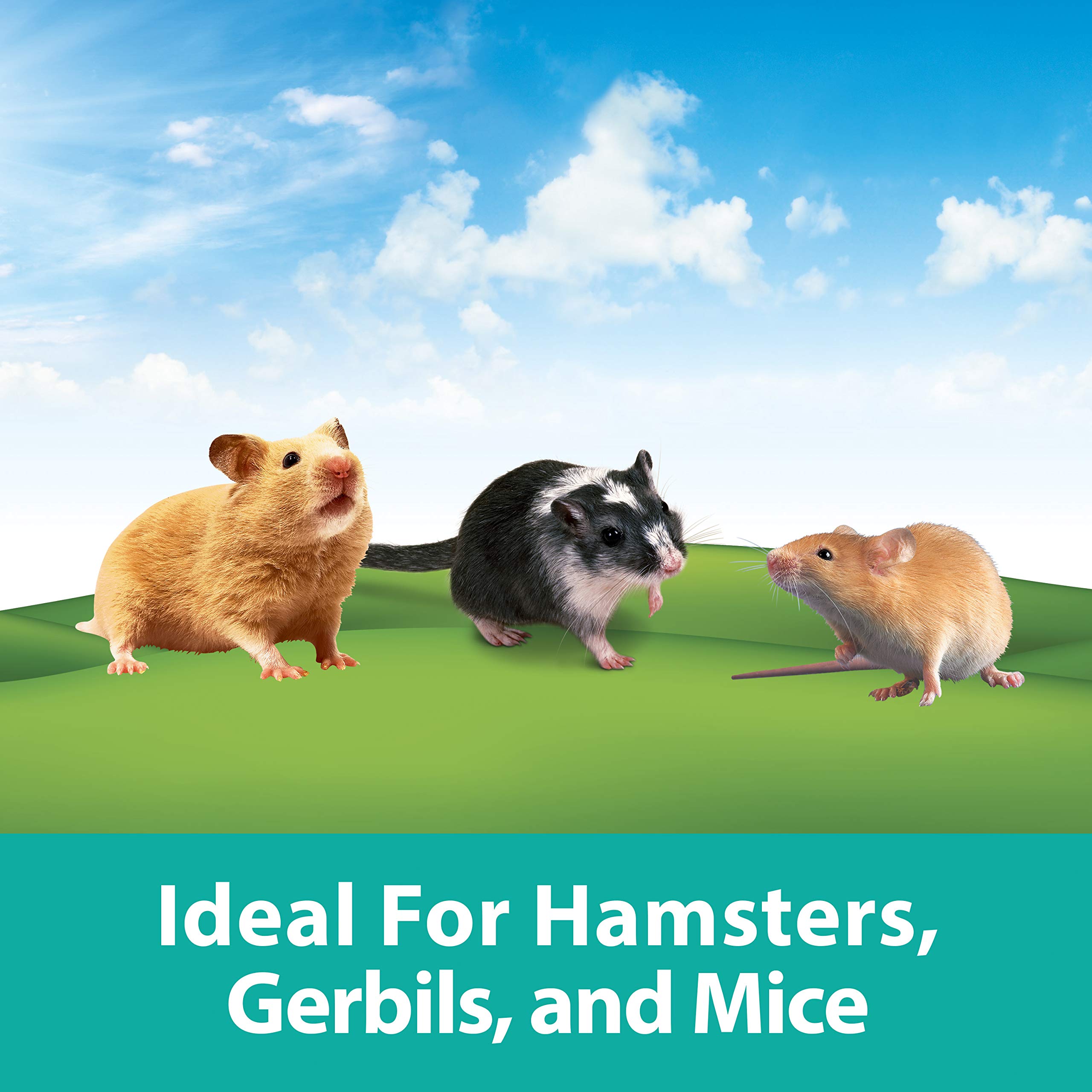 Kaytee Critter Trail Fun 16-Piece Small Animal Habitat Tubes for Hamsters, Gerbils & Mice - Expandable Play Tunnels for Cage Enrichment & Exercise
