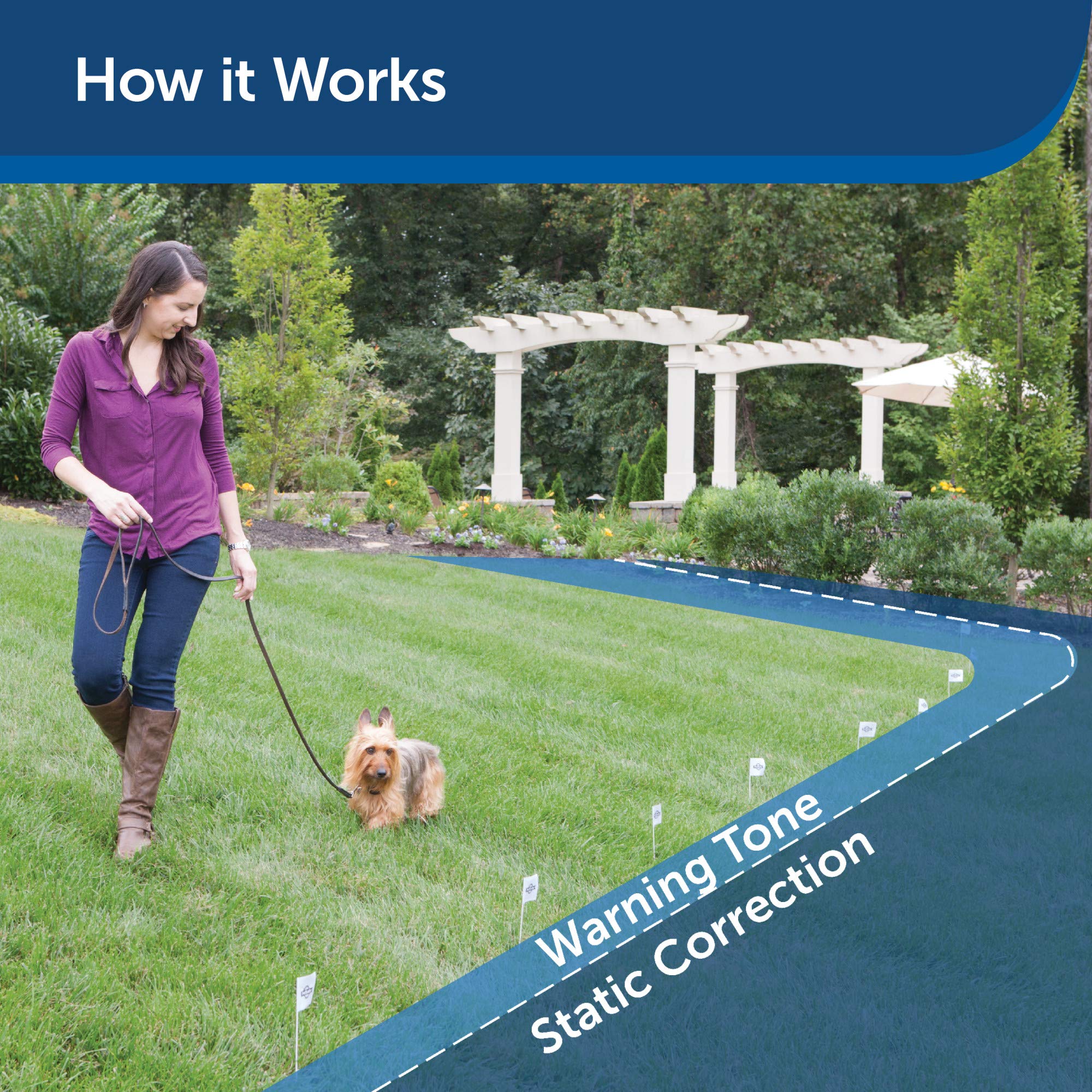 PetSafe Elite Little Dog In-Ground Fence Receiver Collar - Waterproof Training Collar for Small Dogs Over 5 lbs with Tone & Static Stimulation - Ideal for Backyard Containment & Dog Safety - From Invisible Fence Brand Parent Company