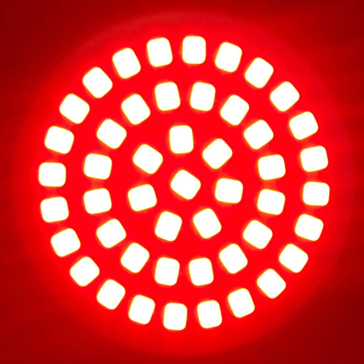 Rogue Rider LED Motorcycle Lights - Red Turn/Brake/Running Lights (1157) for Harley Davidson - Night Riding Safety
