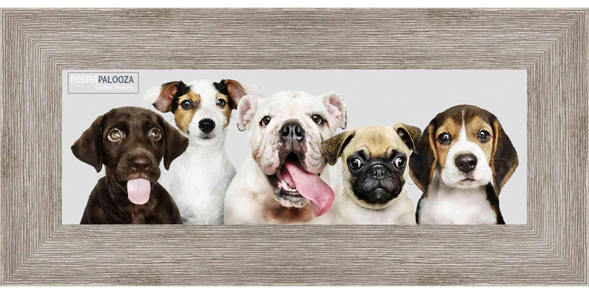 Distressed/Aged Contrast Grey 24x10 Wood Picture Frame with UV Acrylic & Foam Board Backing - Perfect for Vintage Home Decor, Gallery Walls & Office Art Displays
